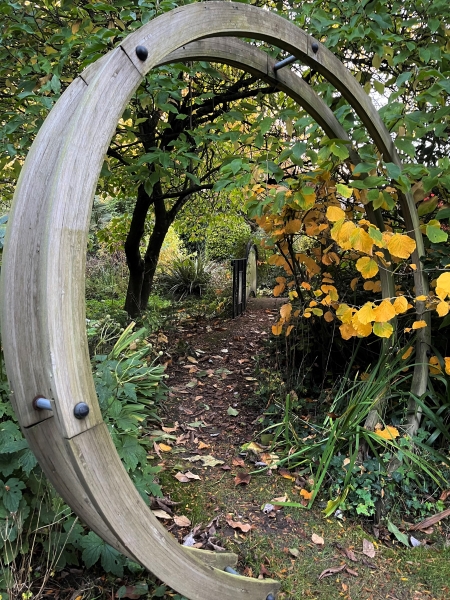 Weeping Ash Garden